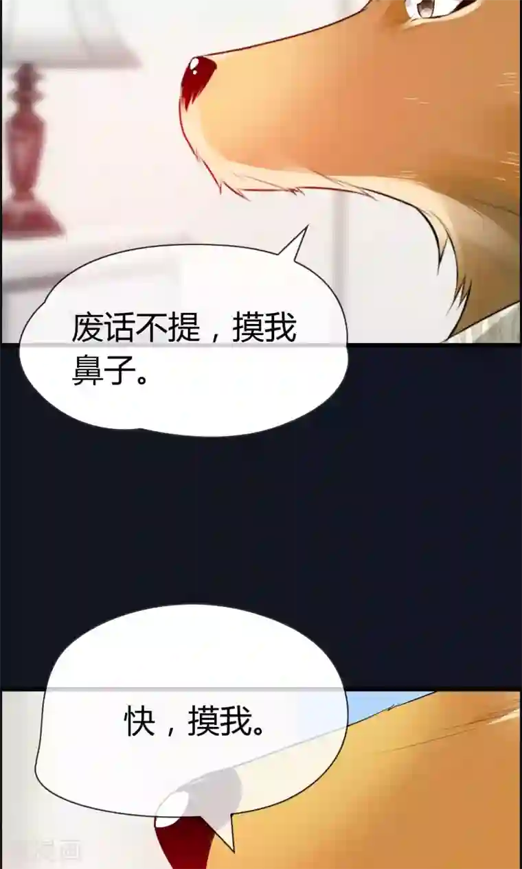 鹿神大人不开窍预告