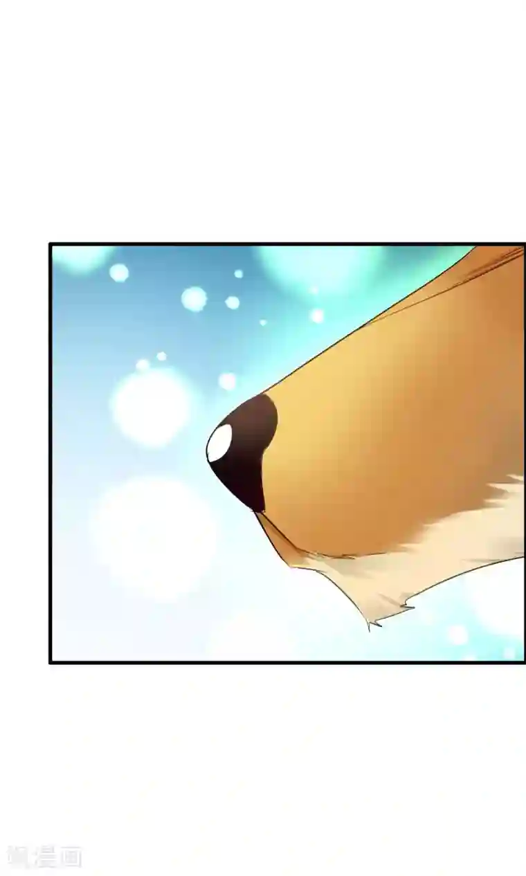 鹿神大人不开窍第1话 鬼屋遇见真神？