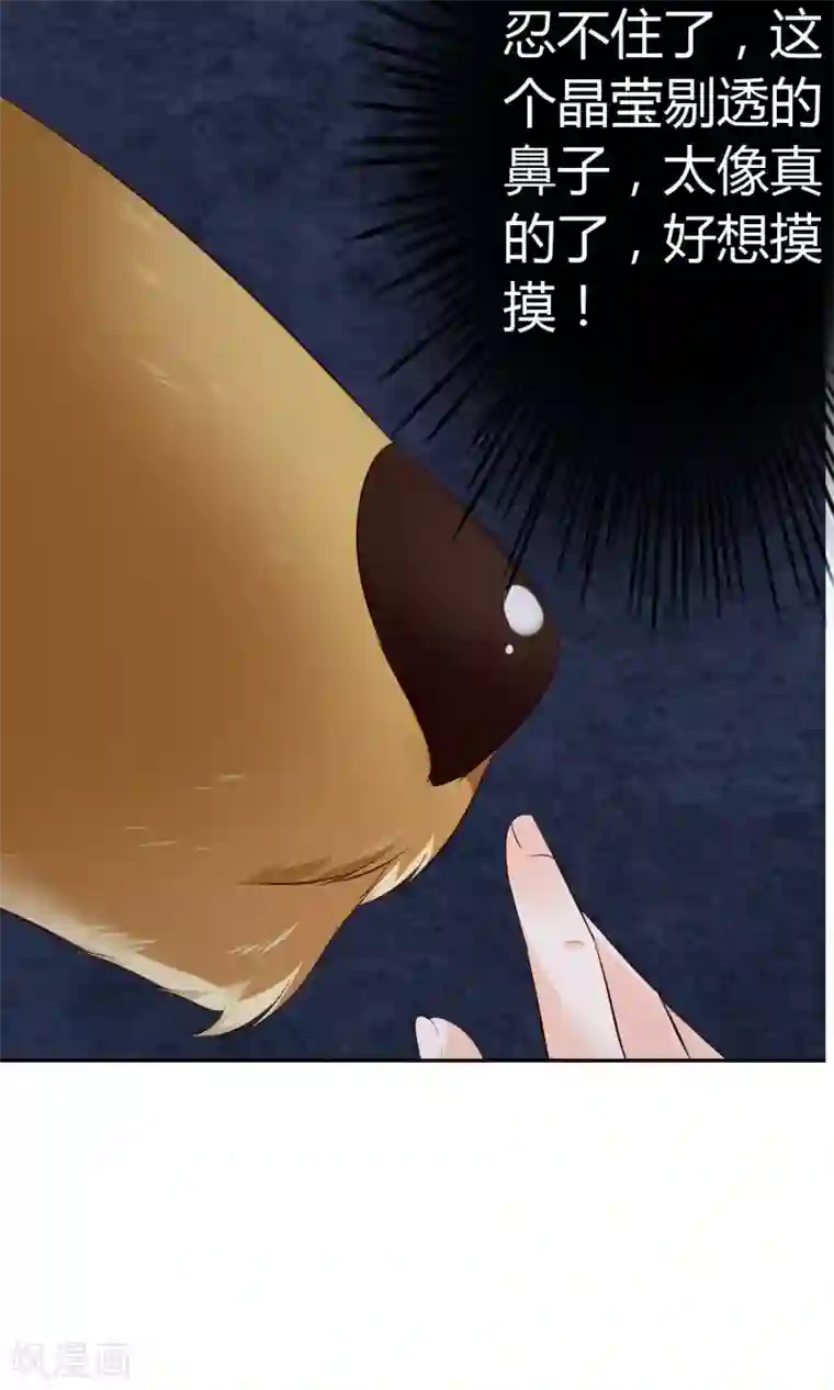 鹿神大人不开窍第1话 鬼屋遇见真神？