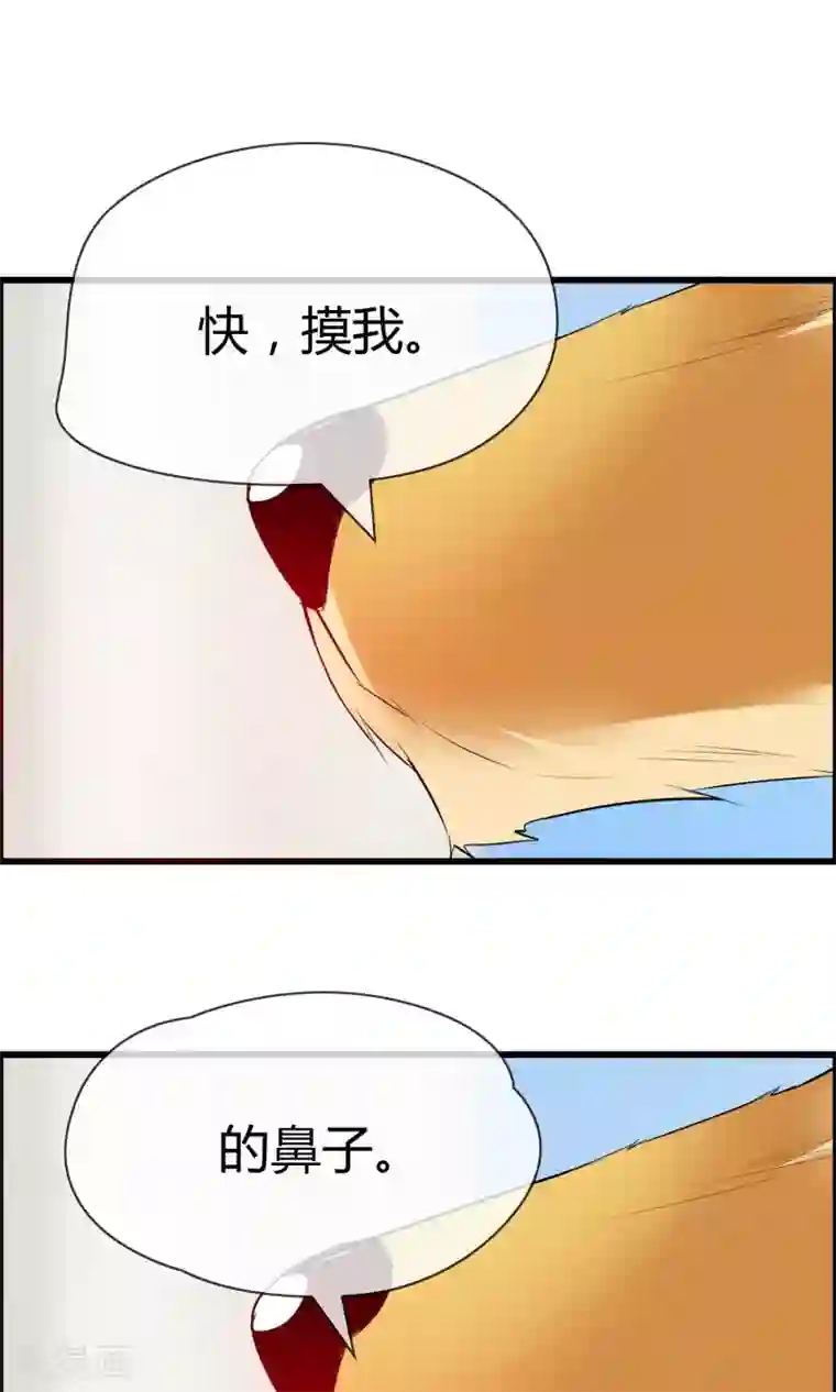 鹿神大人不开窍第5话 摸我！就现在！