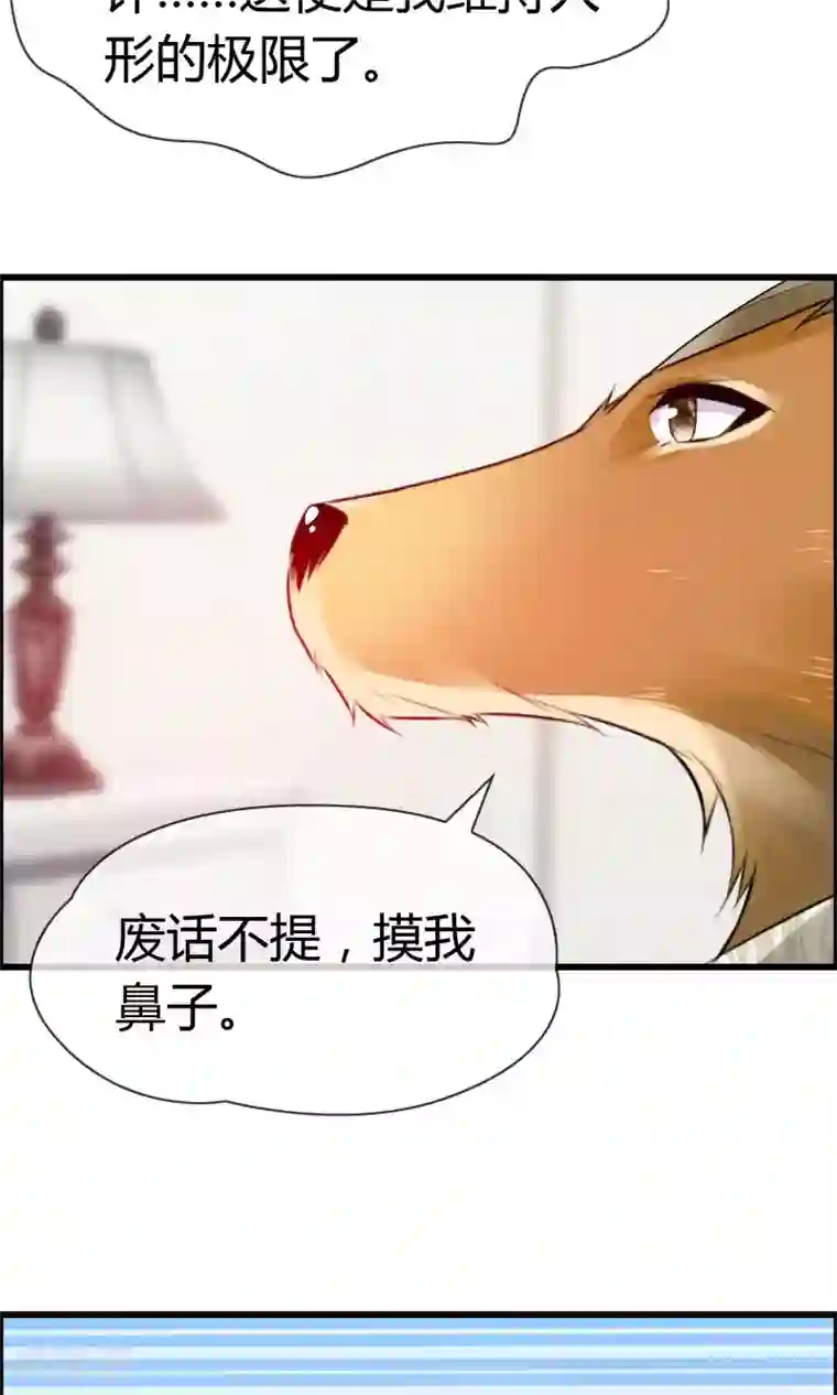 鹿神大人不开窍第5话 摸我！就现在！