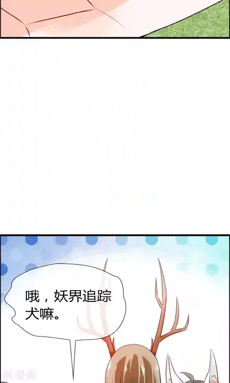 鹿神大人不开窍第14话 妖界追踪犬？