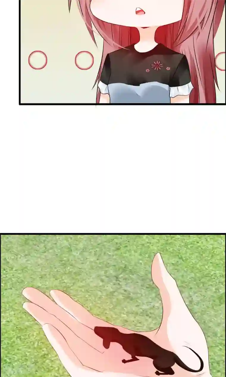 鹿神大人不开窍第14话 妖界追踪犬？