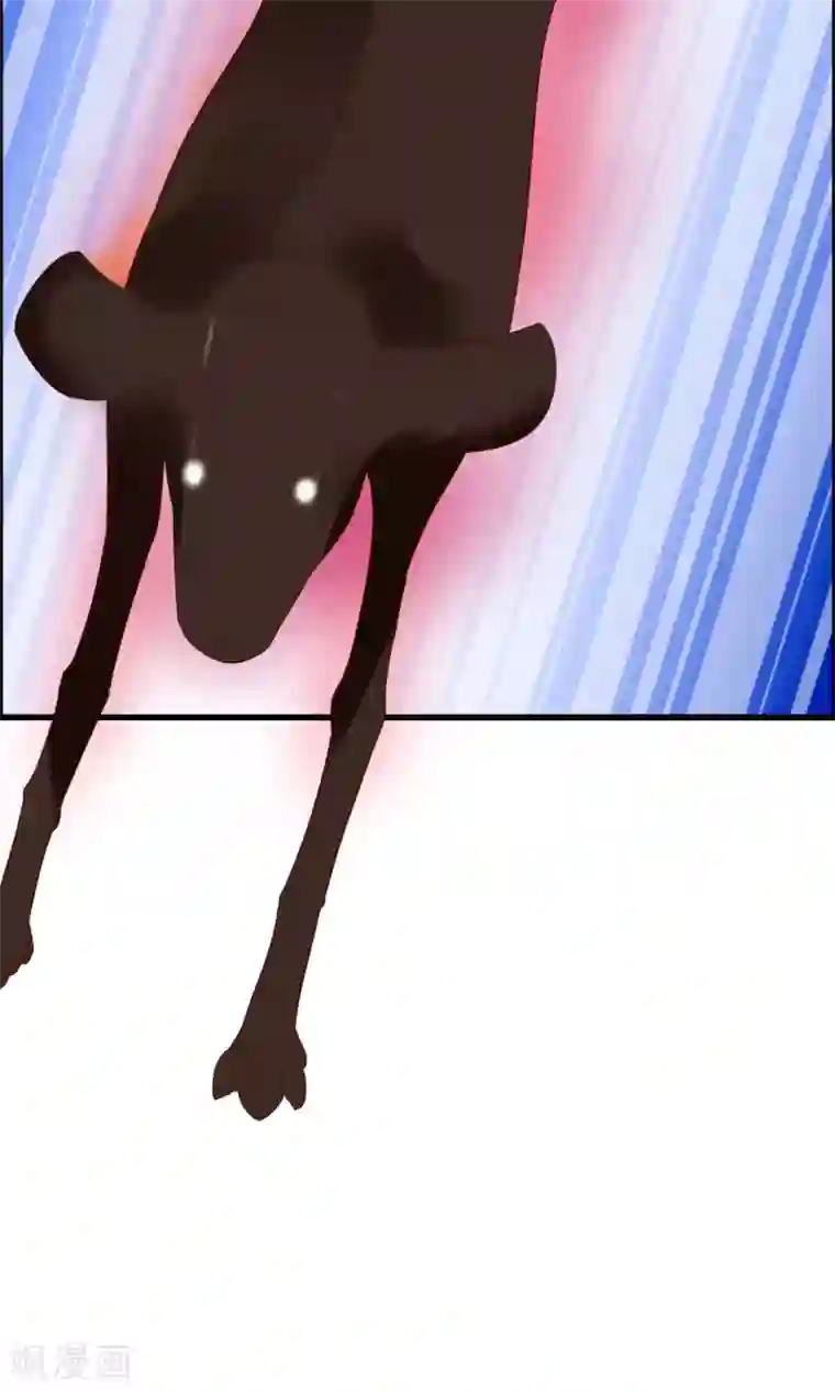 鹿神大人不开窍第14话 妖界追踪犬？