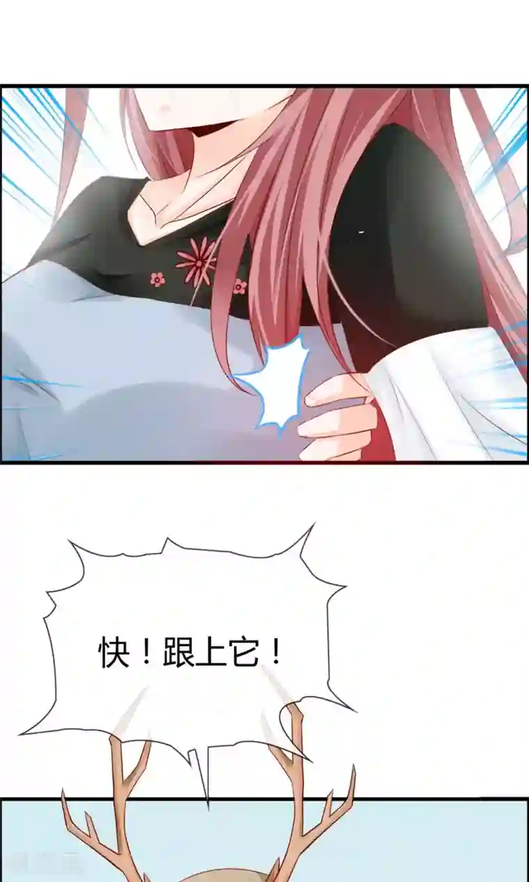 鹿神大人不开窍第14话 妖界追踪犬？