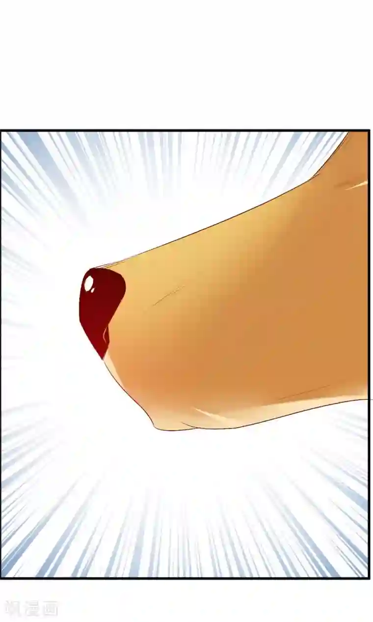 鹿神大人不开窍第21话 不要离开我