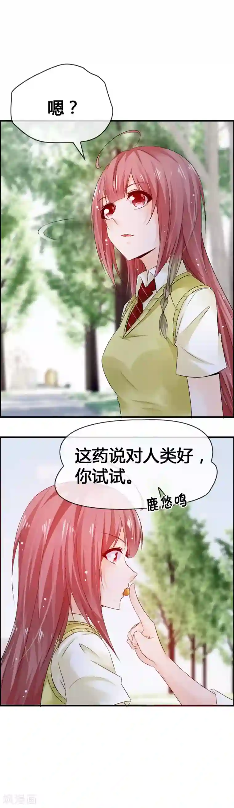 鹿神大人不开窍第33话 青渊向您发出恋爱申请