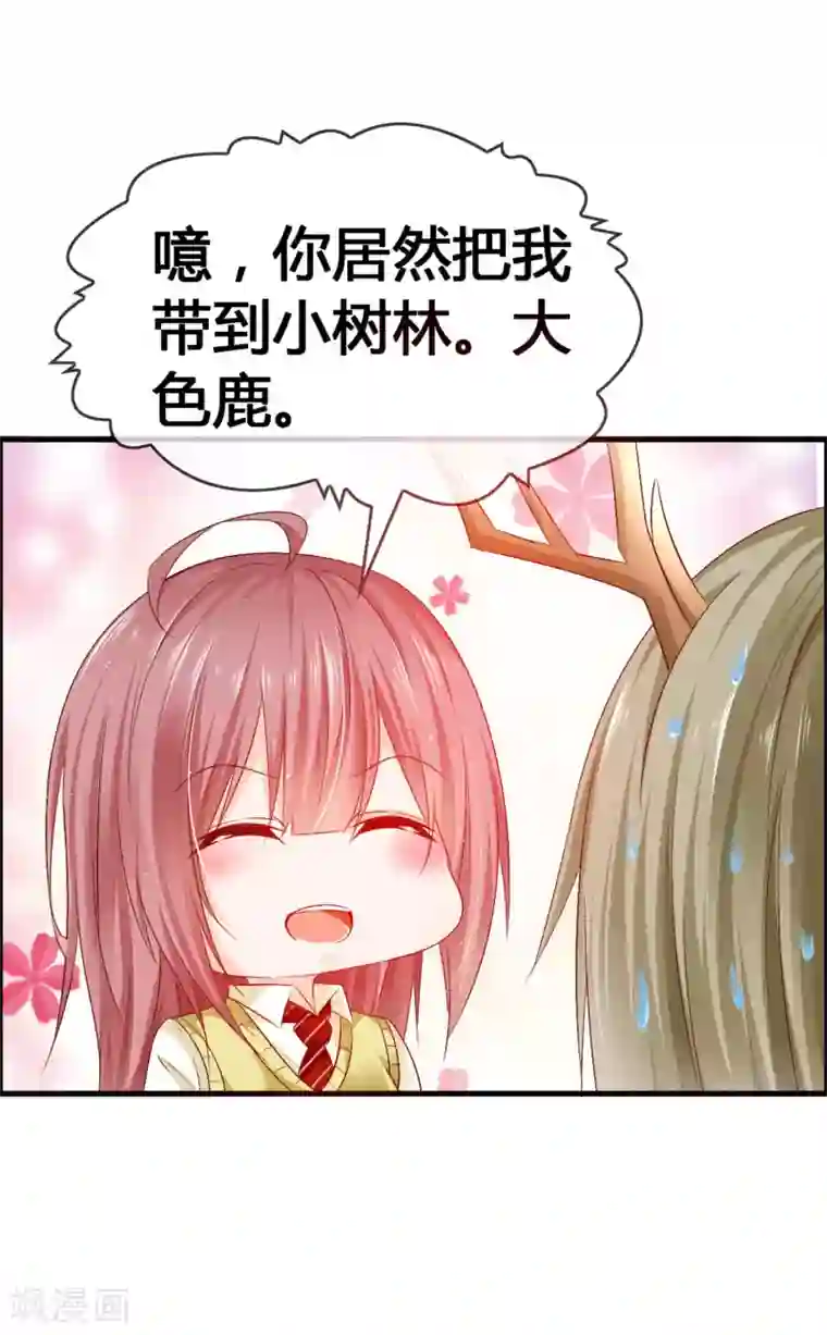 鹿神大人不开窍第33话 青渊向您发出恋爱申请