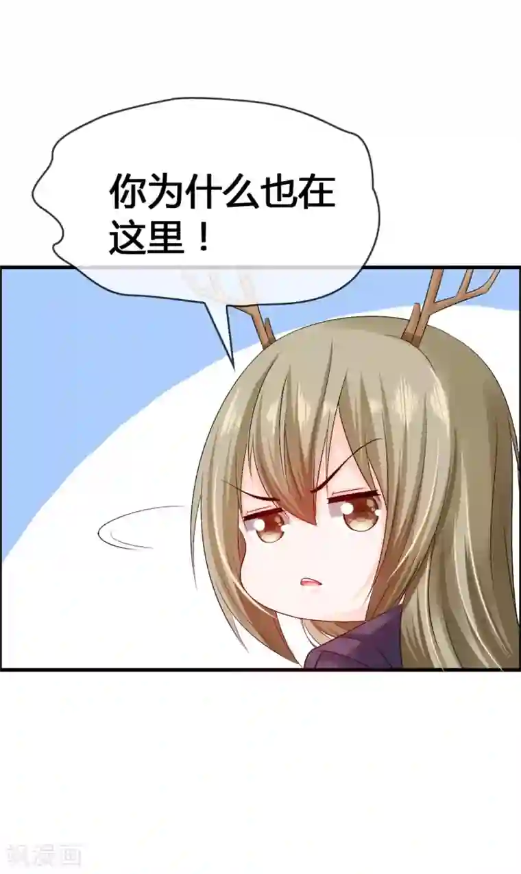 鹿神大人不开窍第33话 青渊向您发出恋爱申请