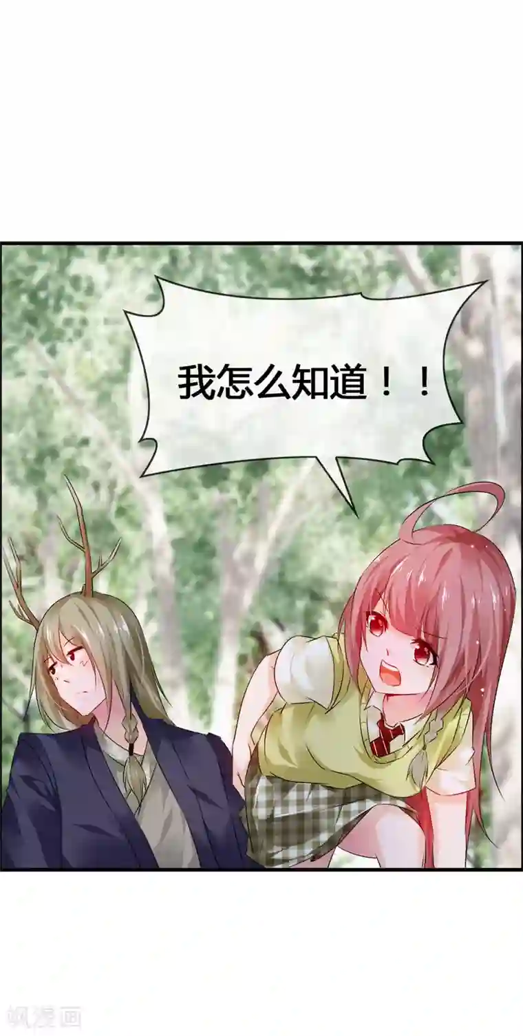 鹿神大人不开窍第33话 青渊向您发出恋爱申请