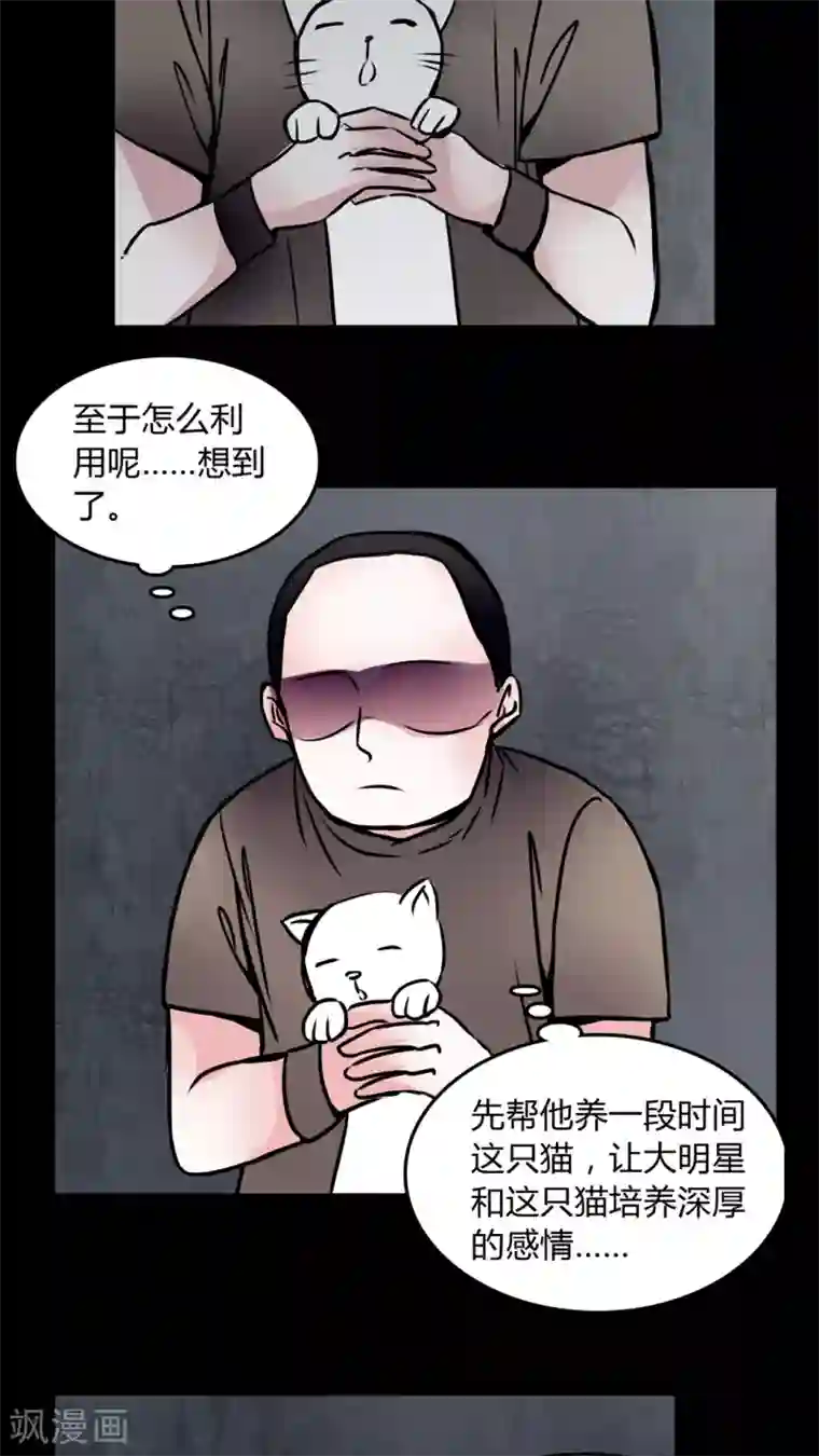 女巫重生记第58话 流浪猫