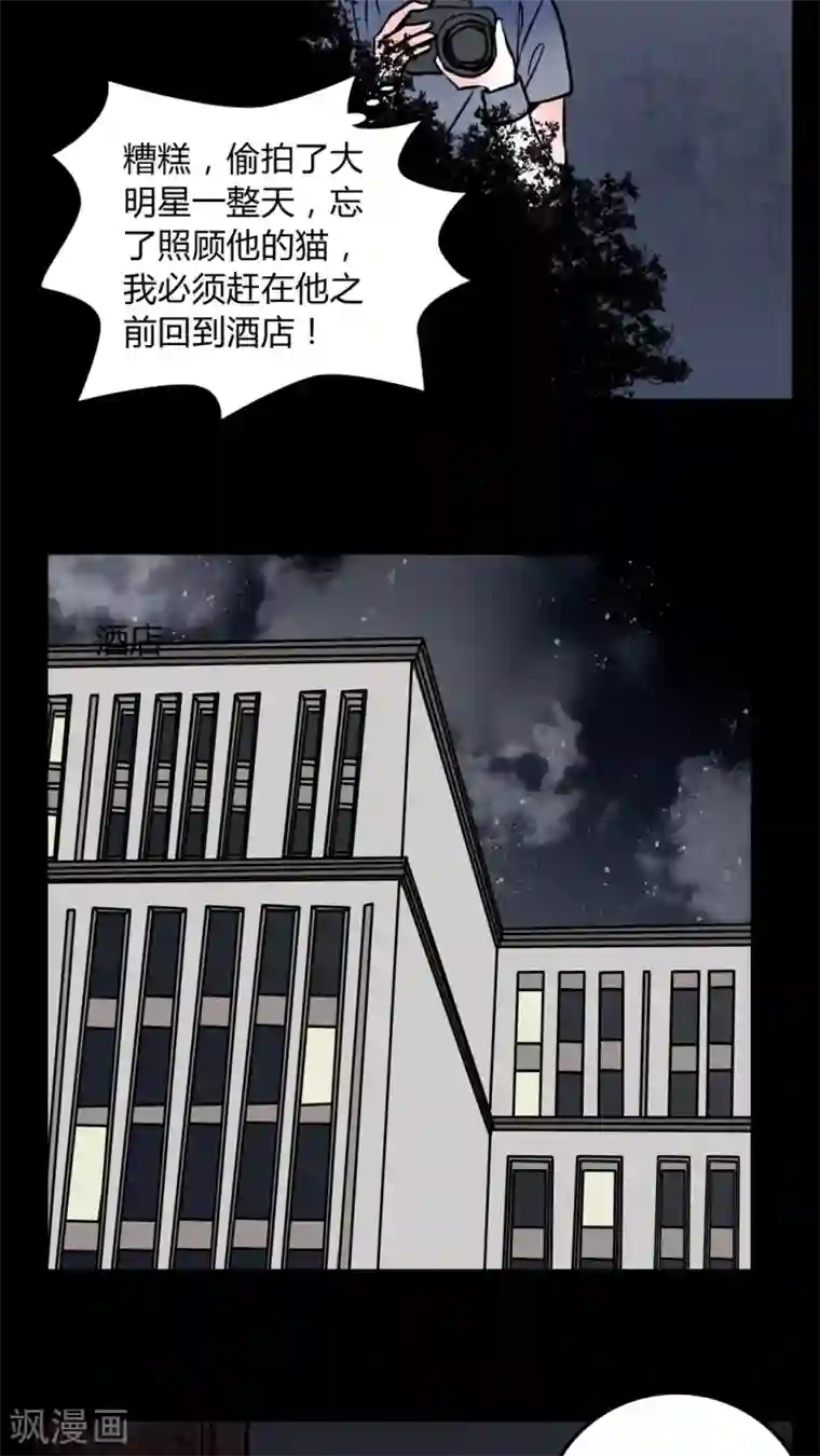 女巫重生记第58话 流浪猫