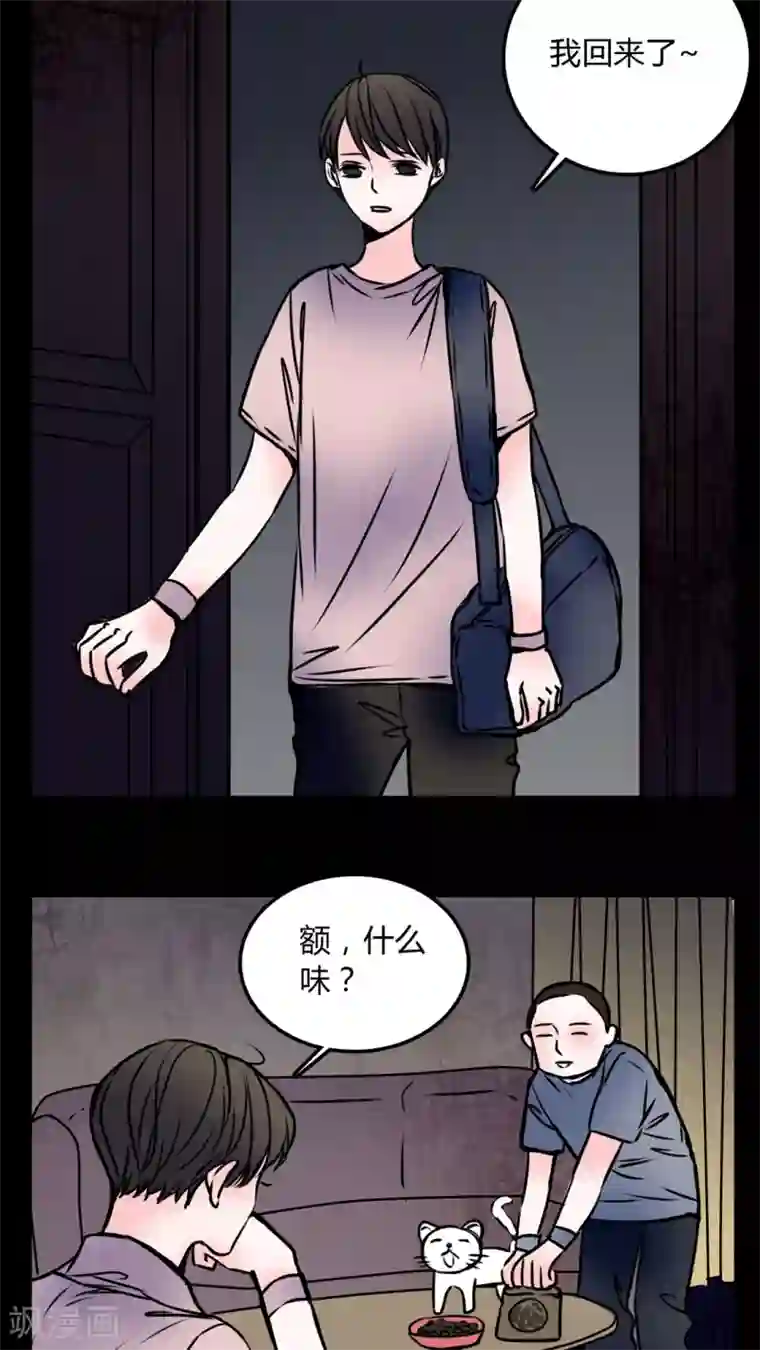 女巫重生记第58话 流浪猫