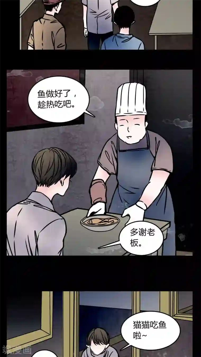 女巫重生记第58话 流浪猫