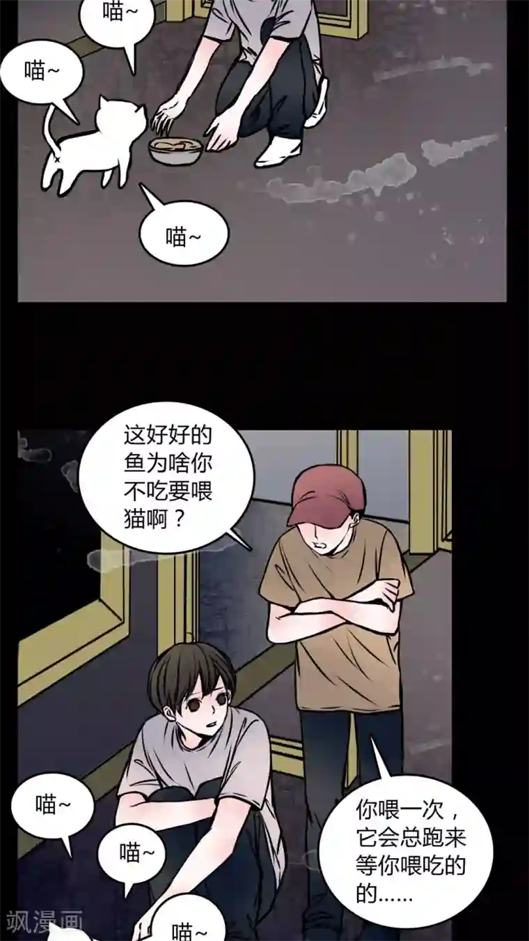 女巫重生记第58话 流浪猫