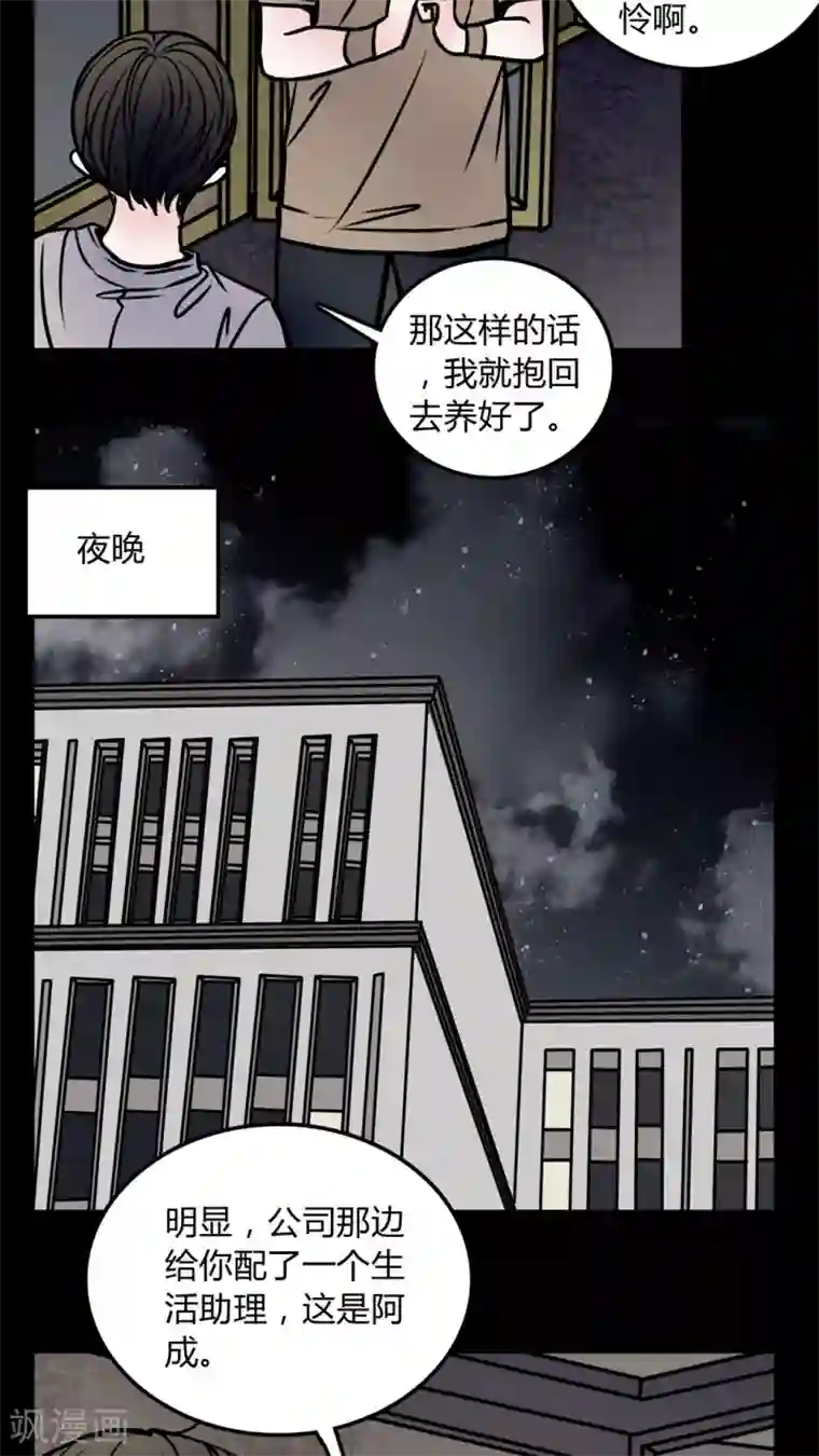 女巫重生记第58话 流浪猫