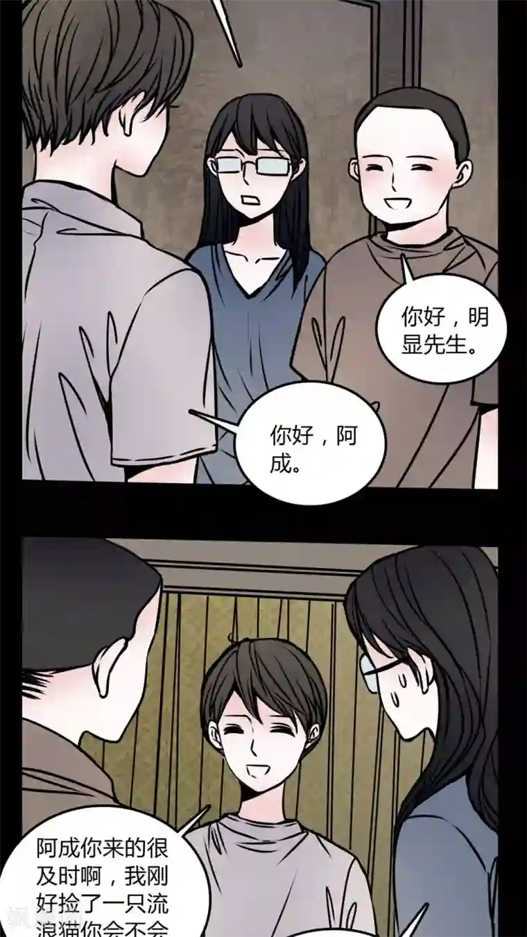 女巫重生记第58话 流浪猫