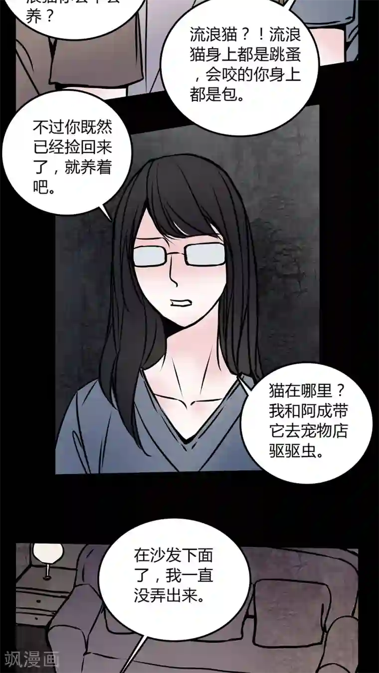 女巫重生记第58话 流浪猫