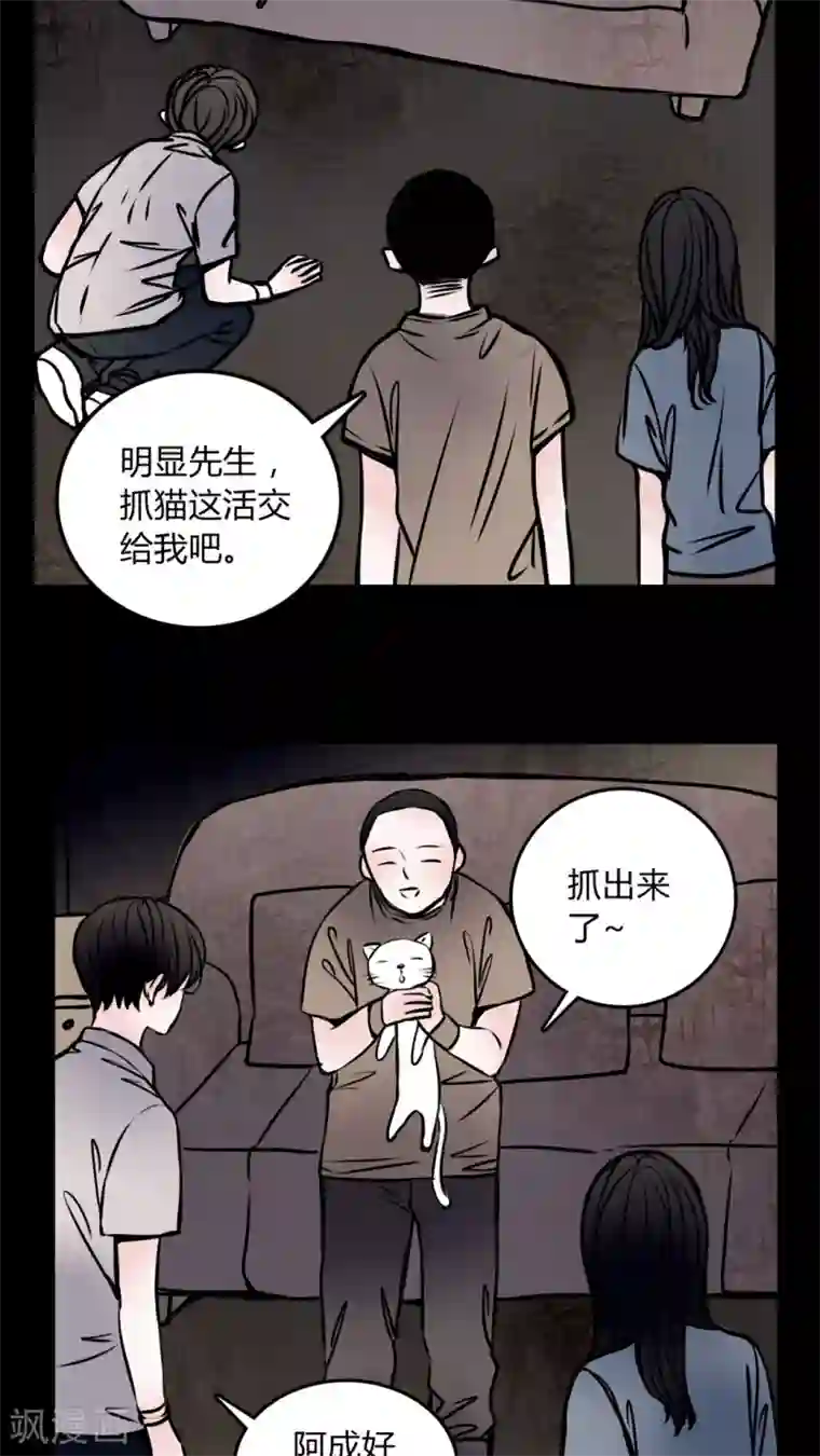 女巫重生记第58话 流浪猫