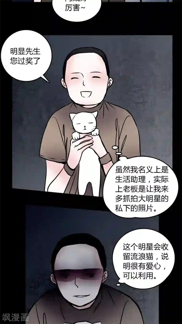 女巫重生记第58话 流浪猫