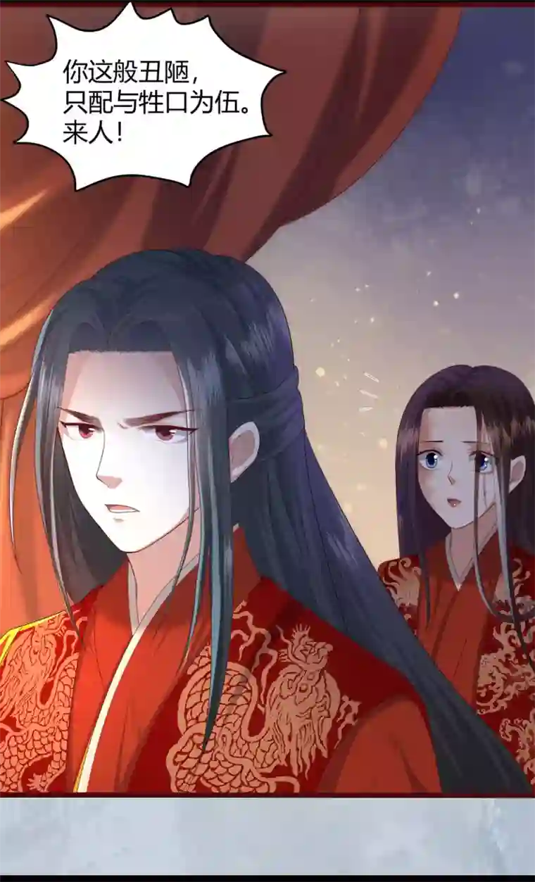 凤凰错:专宠弃妃预告
