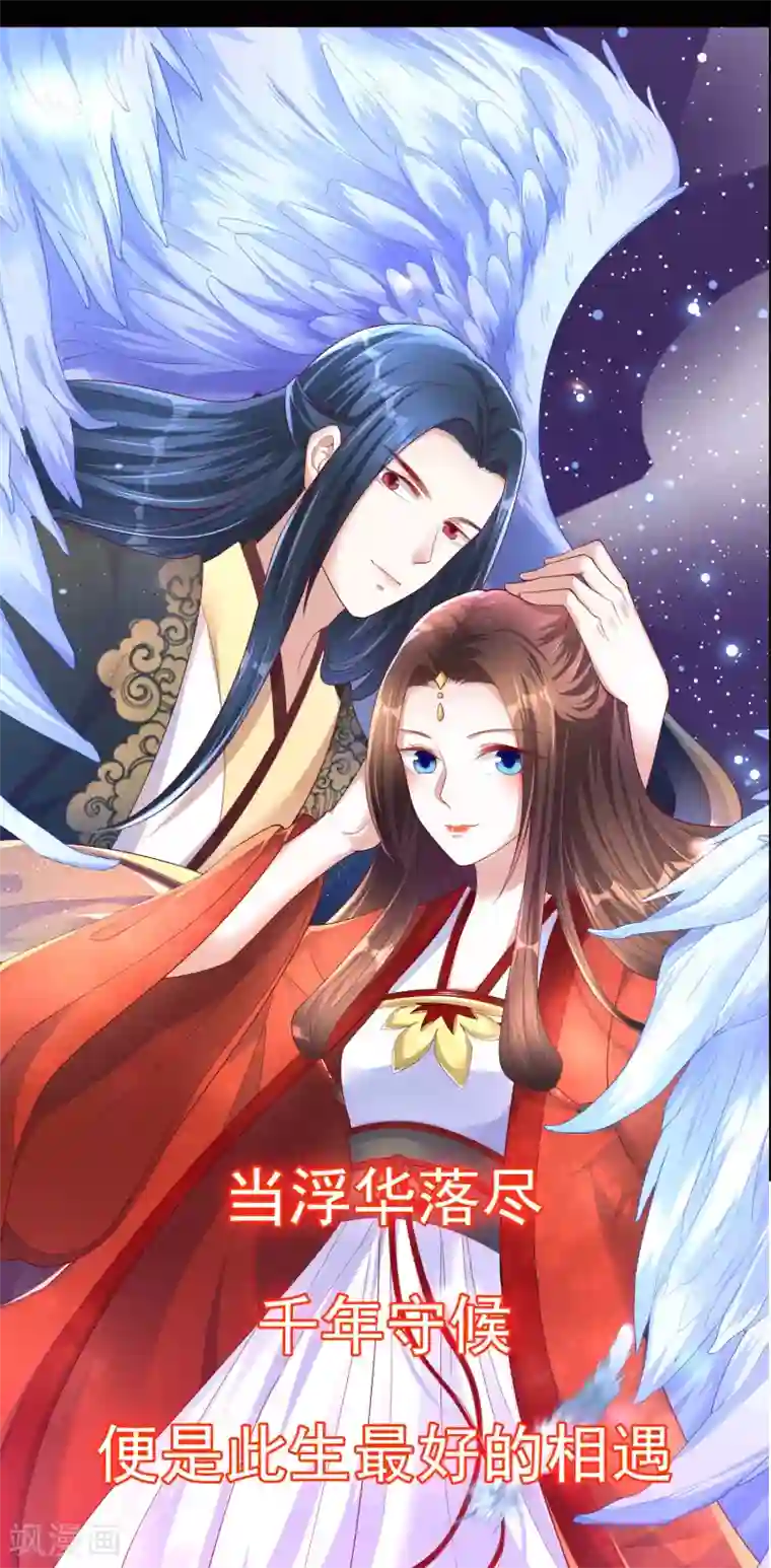 凤凰错:专宠弃妃预告