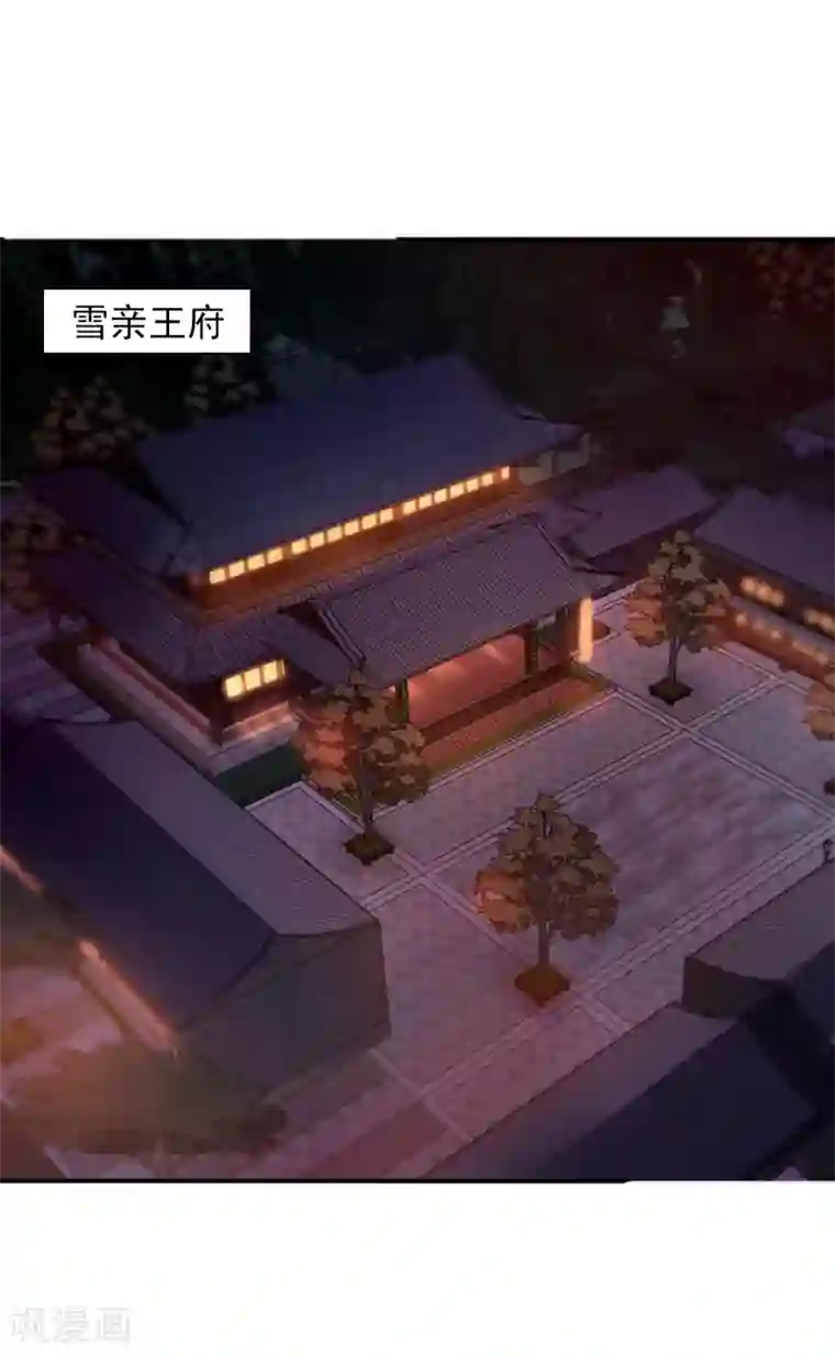 凤凰错:专宠弃妃第1话 毁容王妃遭唾弃