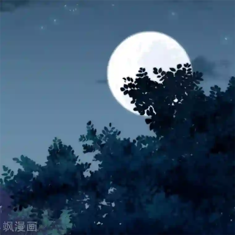 凤凰错:专宠弃妃第2话 初露医术