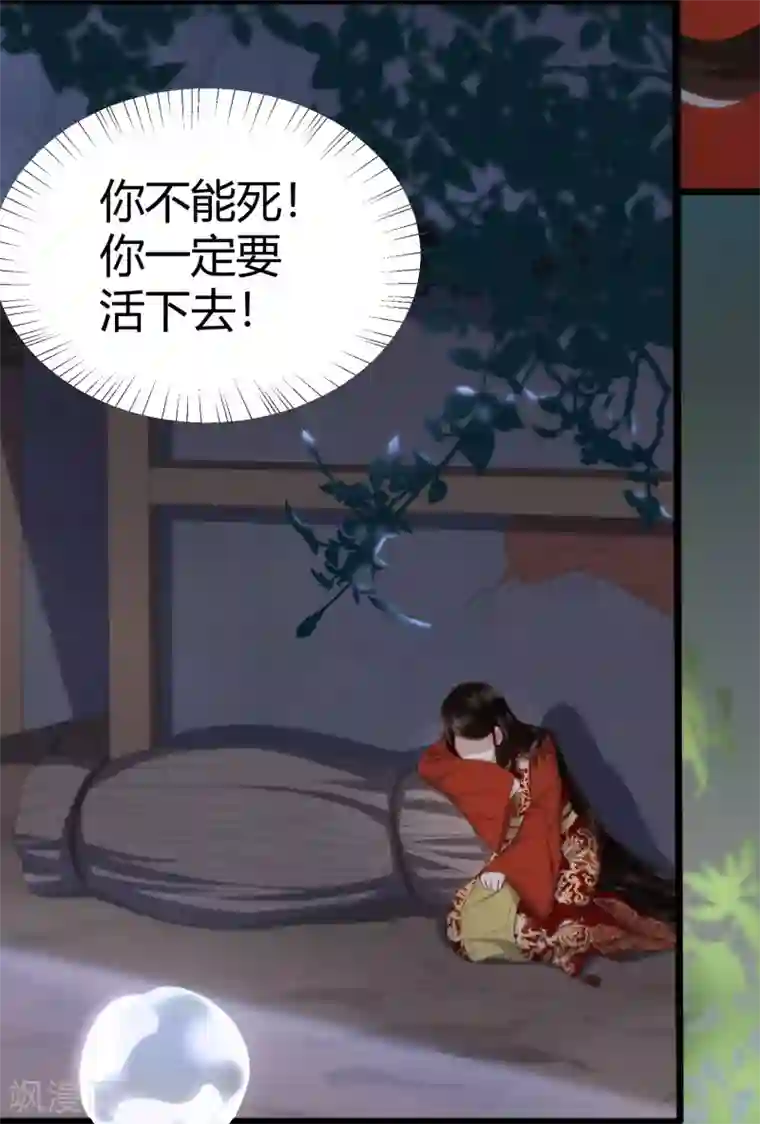 凤凰错:专宠弃妃第2话 初露医术