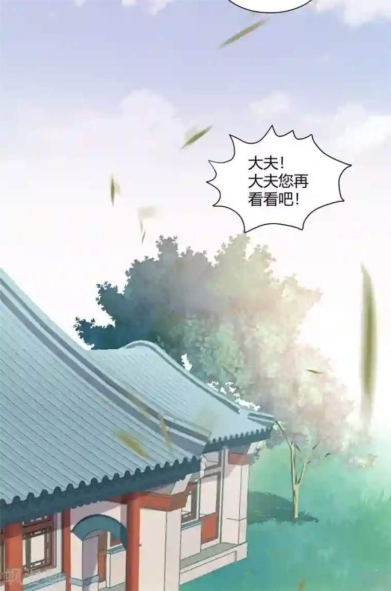 凤凰错:专宠弃妃第2话 初露医术