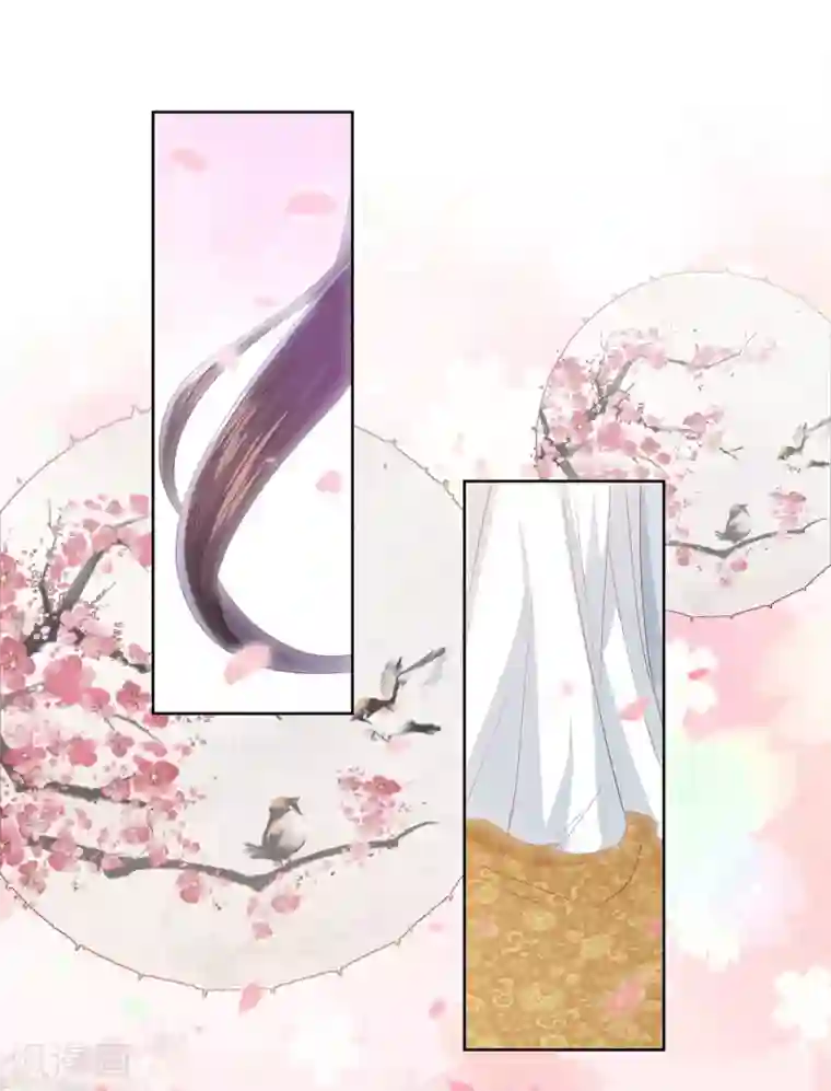 凤凰错:专宠弃妃第11话 舞技比拼
