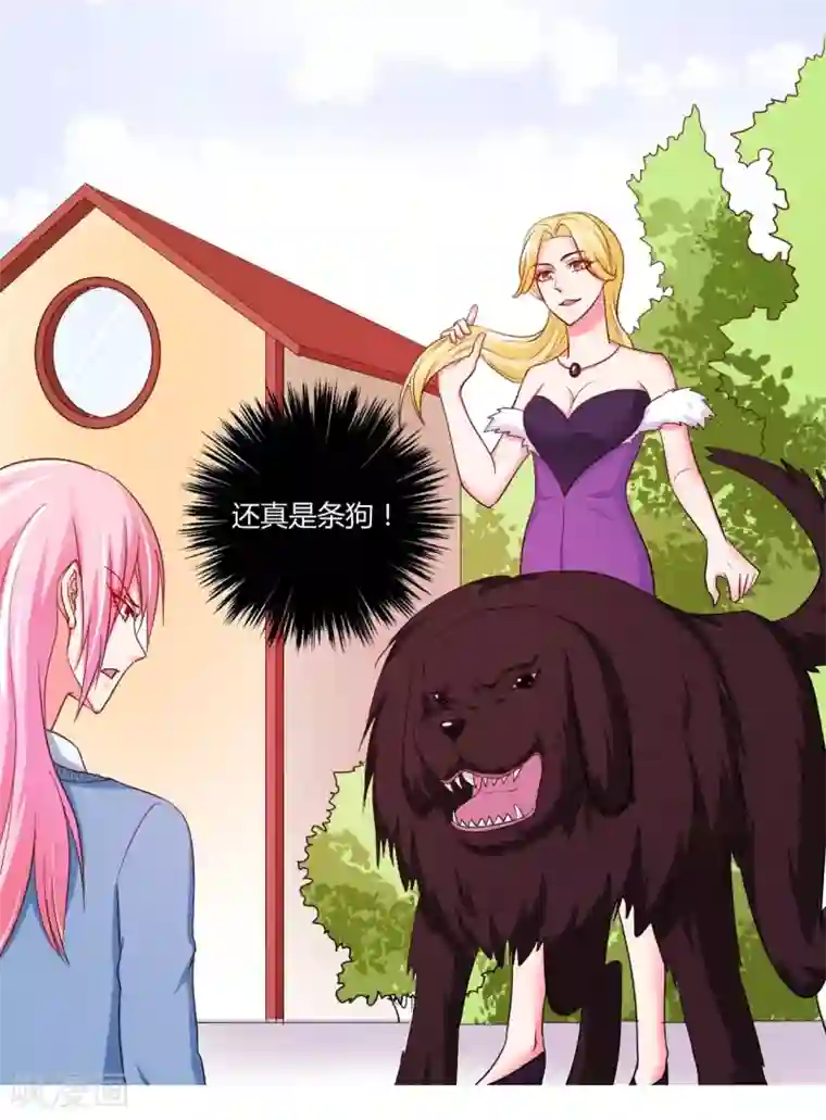 大牌虐你没商量！第14话