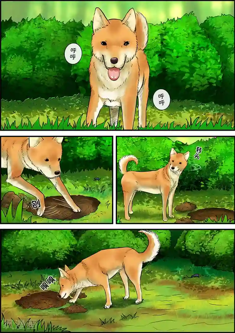 幽怪谈录第29话 丹尼