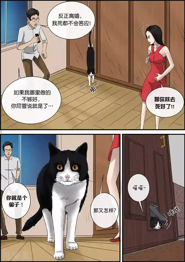 幽怪谈录第32话 猫的巡礼