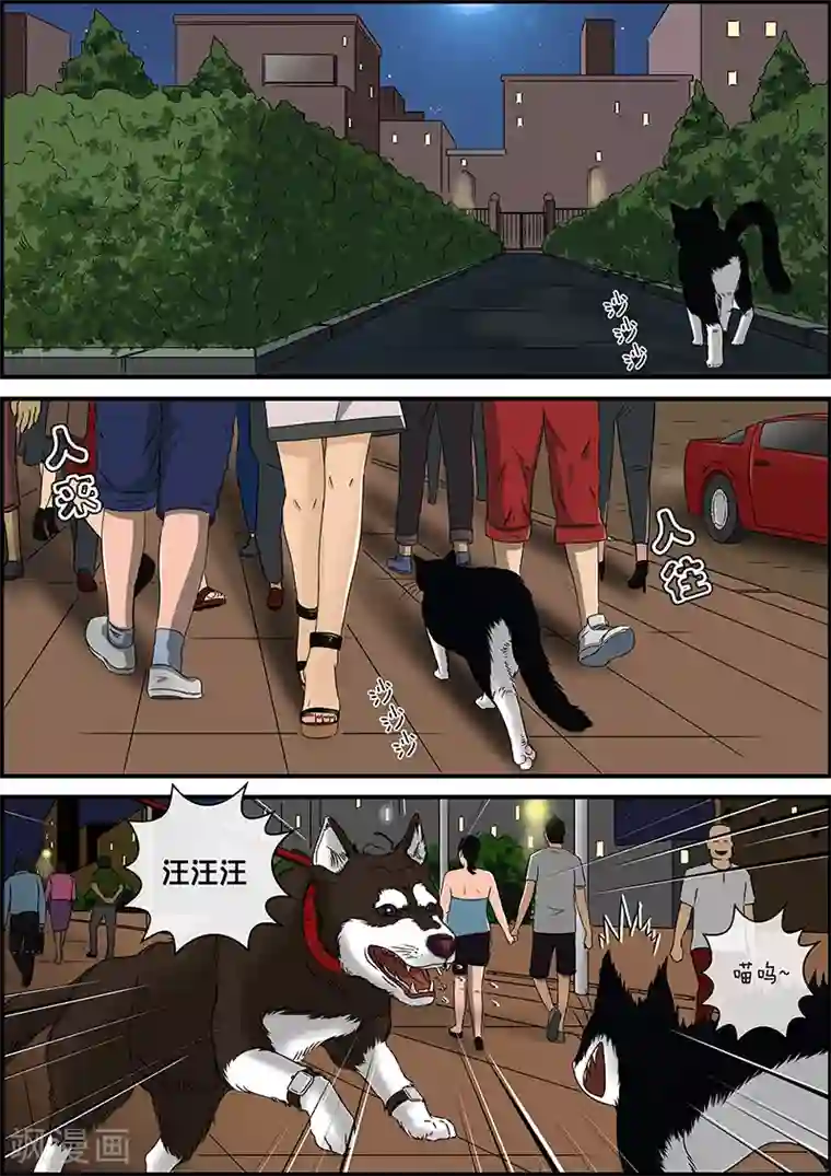 幽怪谈录第32话 猫的巡礼