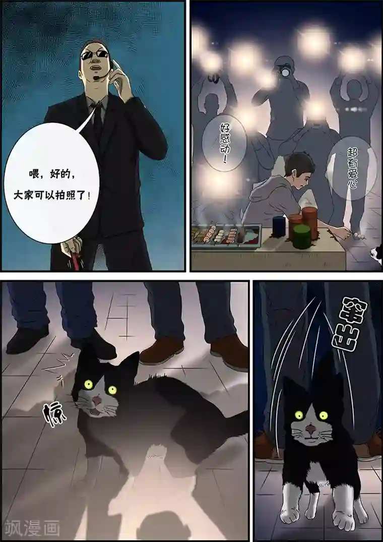 幽怪谈录第32话 猫的巡礼