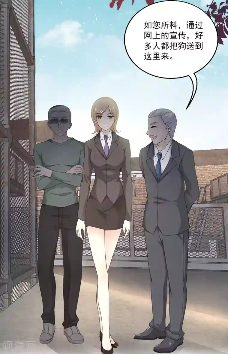 女王的打脸游戏第2话 这才是热搜的真相！