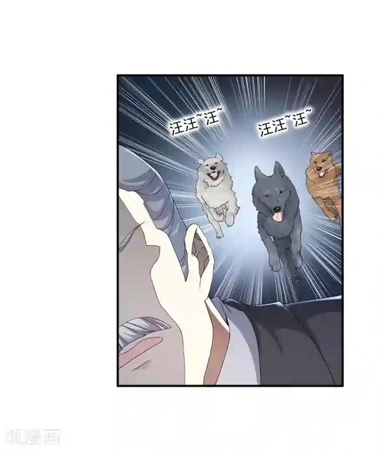 女王的打脸游戏第3话 男主的另类才能