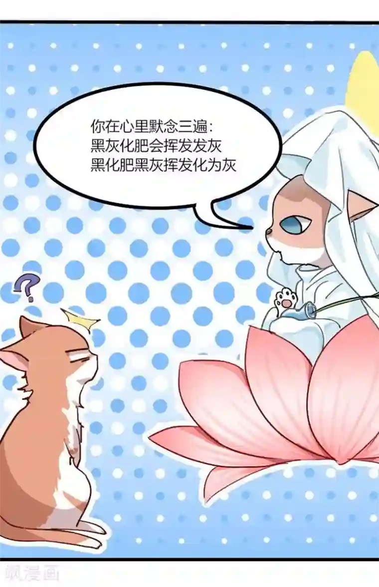 宠婚来袭第57话 同情你而已