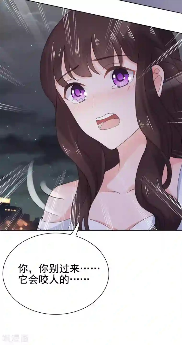 宠婚来袭第95话 楚乔，有危险