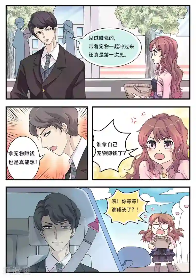 猫奴富少好缠人第1话