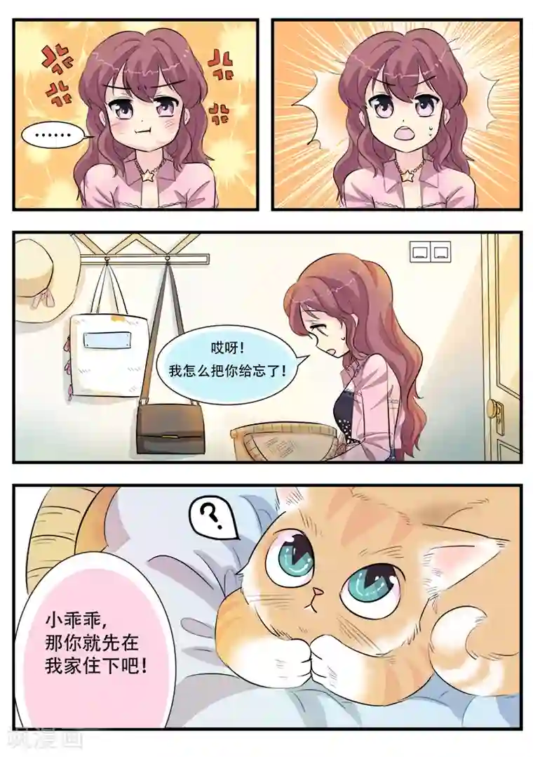 猫奴富少好缠人第1话