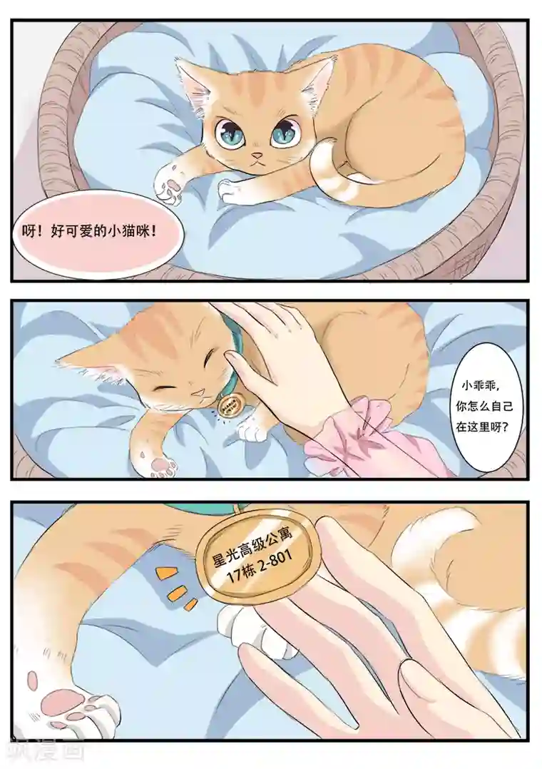 猫奴富少好缠人第1话