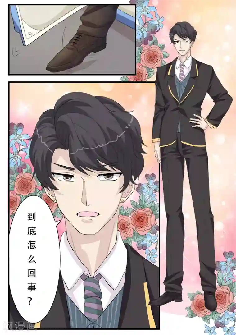 猫奴富少好缠人第1话