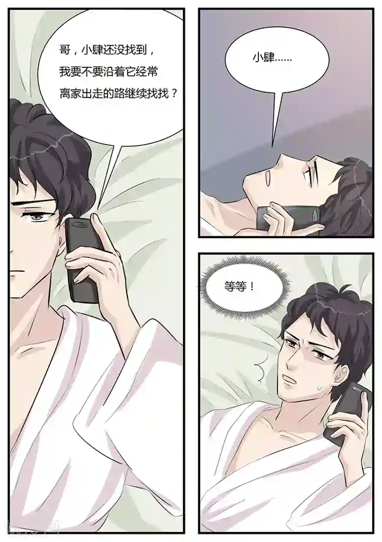 猫奴富少好缠人第2话