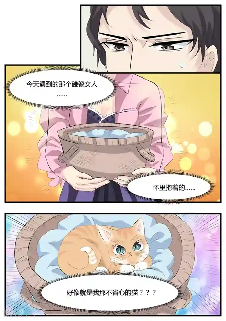 猫奴富少好缠人第2话
