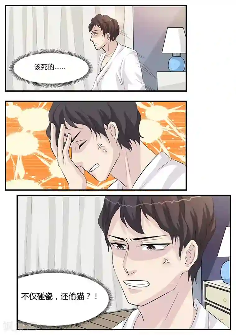 猫奴富少好缠人第2话