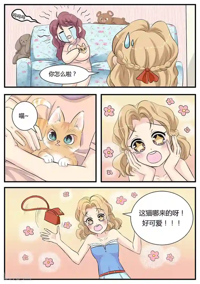 猫奴富少好缠人第2话