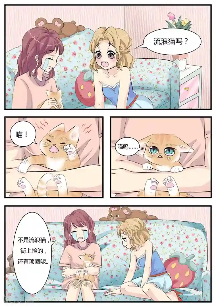 猫奴富少好缠人第2话