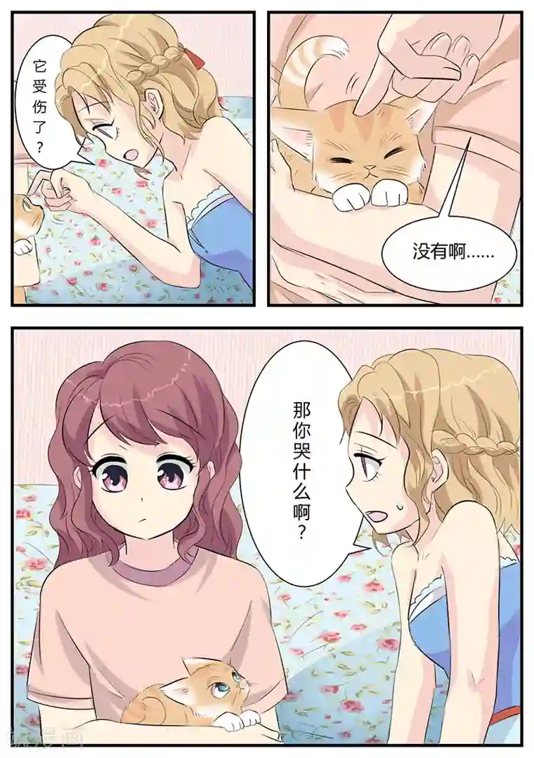 猫奴富少好缠人第2话